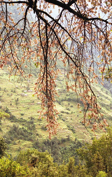 Nepal