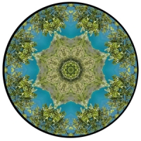 New Zealand Mandala