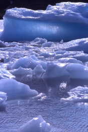 Portage Glacier, Alaska