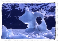 CIRCLES - Portage, Alaska