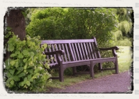 COMPARE-CONTRAST - Tavistock, England