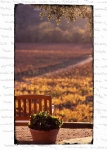 COMPARE-CONTRAST - Sonoma, California