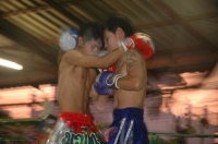 Muay Thai Boxing