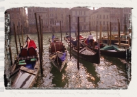 LINES - Venice, Italy